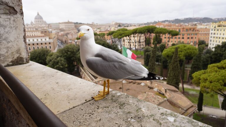 Fondazione Consulcesi castel sant angelo 15