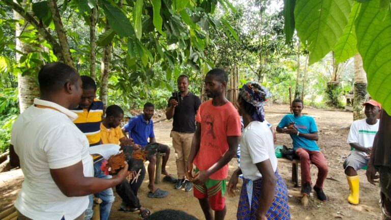 Fondazione Consulcesi - Liberia 6