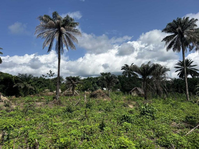 fondazione-consulcesi-scuola-liberia